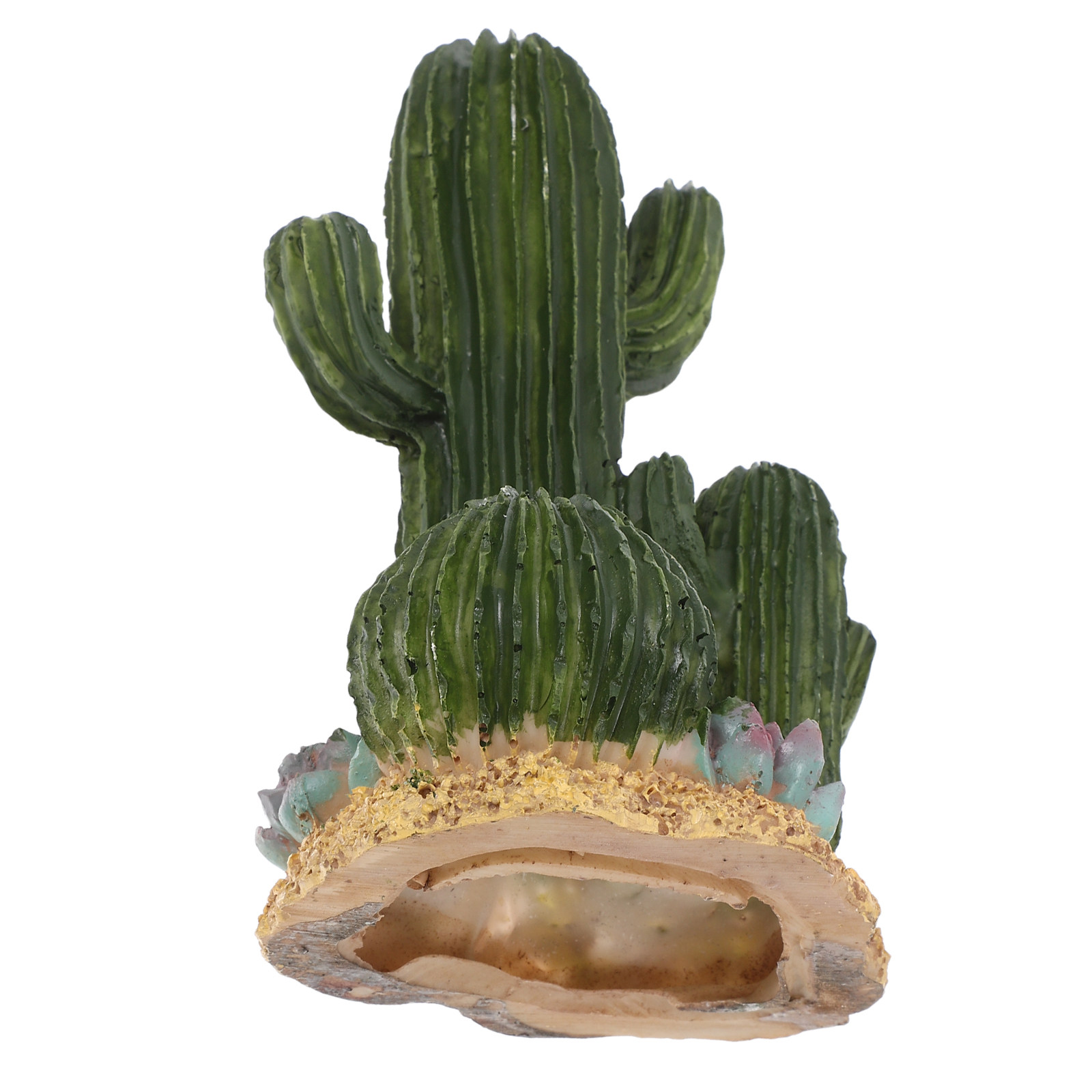 Terrarium Moss Art - Kunstmatige cactusplant, grote vetplant, woestijndecoratie voor