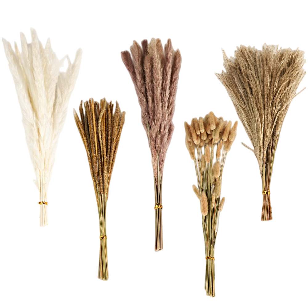 Herfst Vintage Gemengd Gedroog - Dried Flower Bulk recensie en prijs