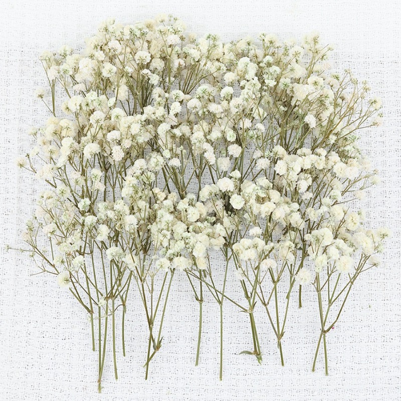 50 stuks natuurlijke gedroogde - Dried Flower Bulk recensie en prijs