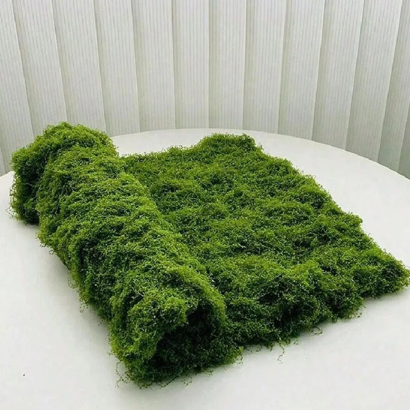 Kunstmatig mos voor het decore - Terrarium Moss Art recensie en prijs