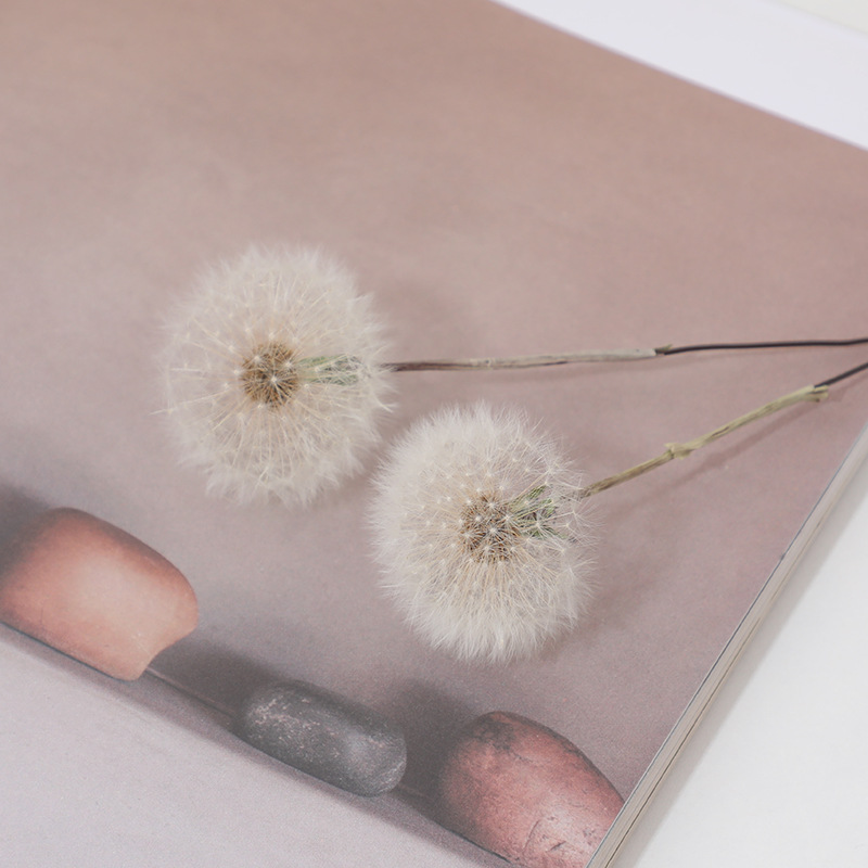 Gedroogde paardenbloem DIY epo - Crafting Resin recensie en prijs