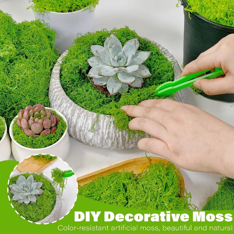 Kunstmatige groene planten Eeu - Terrarium Moss Art recensie en prijs